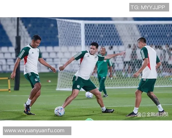 年轻足球明星的成长之路精彩瞬间视频集锦